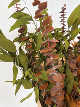 Load image into Gallery viewer, Eucalyptus Bundle