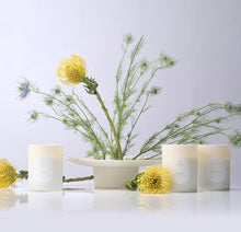 Load image into Gallery viewer, Linnea 2-Wick Rain Soy Candle