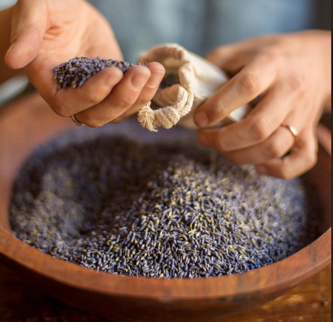 desert lavender seeds Los Poblanos Desert Lavender Botanical Fragrance