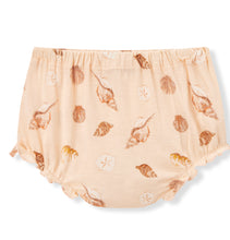 Load image into Gallery viewer, Milkbarn Bamboo Dress + Bloomer Set, Seashell