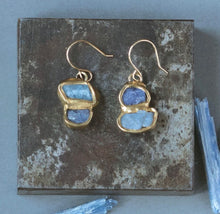 Load image into Gallery viewer, Emilie Shapiro Cross Pollinate Earring