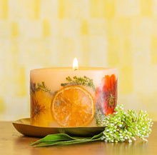 Load image into Gallery viewer, Sugared Citrus Petite Oval Botanical Candle