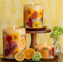 Load image into Gallery viewer, Sugared Citrus Petite Oval Botanical Candle