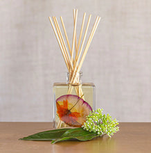 Load image into Gallery viewer, Sugared Citrus Reed Diffuser, 4 oz