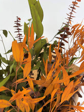 Load image into Gallery viewer, Eucalyptus Bundle