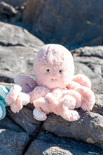 Load image into Gallery viewer, Cove Octopus, Blush