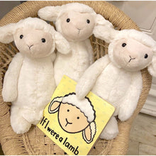 Load image into Gallery viewer, Jellycat "If I Were A ..."  Baby Board Books ( 3 titles)