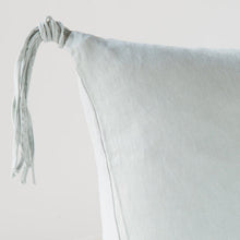 Load image into Gallery viewer, Bella Notte Linens Taline Euro Sham
