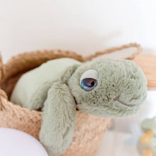 Load image into Gallery viewer, Tyler Turtle
