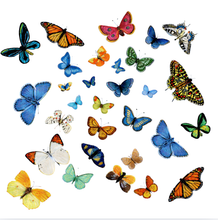 Load image into Gallery viewer, Petit Modern Lucite Accent Bowl, Flutter
