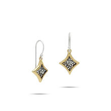 Load image into Gallery viewer, Waxing Poetic Kristal Magna Mini Drop Earrings
