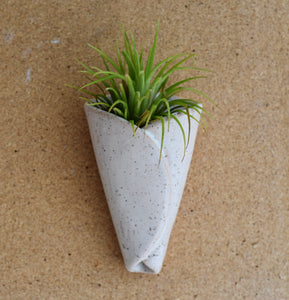 Mud & Maker Ceramic Cone + Air Plant