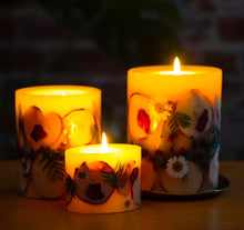 Load image into Gallery viewer, Spicy Apple Botanical Candle, 5.5&quot;
