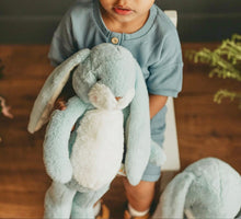 Load image into Gallery viewer, Little Nibbles Bunny 12&quot;, Blue
