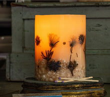 Load image into Gallery viewer, Coastal Vanilla Botanical Candle, 6.5”
