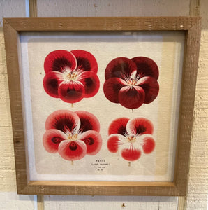 Pansy Art in Wooden Frame, 8x8"