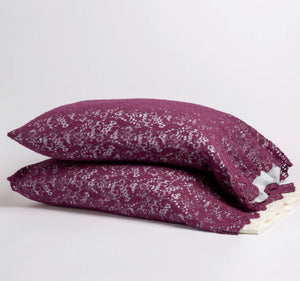 Bella Notte Linens Allora Lace Pillowcase (Single)