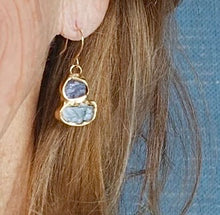 Load image into Gallery viewer, Emilie Shapiro Cross Pollinate Earring
