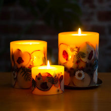 Load image into Gallery viewer, Spicy Apple Petite Botanical Candle
