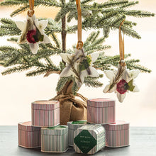Load image into Gallery viewer, Snowflake Botanical Wax Sachet (Forest, Spicy Apple)
