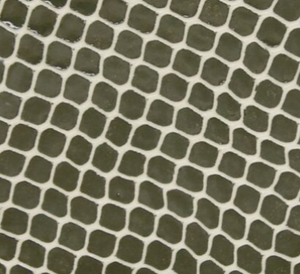 Terrafirma Ceramics Dip Trays (9 Styles)