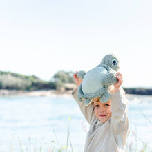 Load image into Gallery viewer, Tyler Turtle
