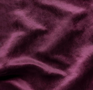 Bella Notte Linens Paloma Blanket