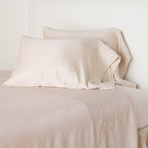 Bella Notte Linens Paloma Pillowcase (Standard, King)