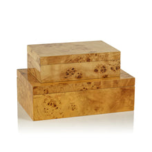 Load image into Gallery viewer, Leiden Burl Wood Design Box (2 sizes)
