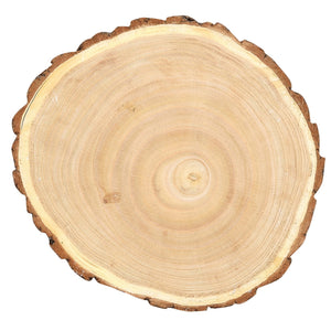 Paulownia Wood Slice