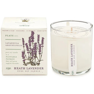 Plant The Box Candle - Lavender