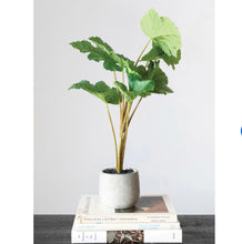 Load image into Gallery viewer, Faux Plant in Cement Pot
